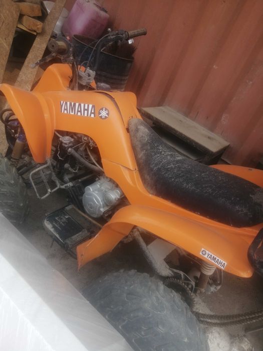 Квадроцикл механика 250куб