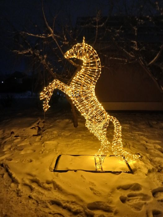 Символ 2026 года.