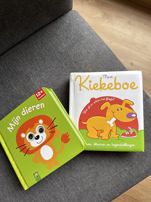 Книжки на холандси