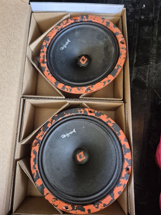 DL Audio Barracuda 165