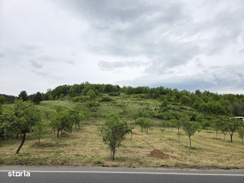 Parcele de vânzare în Tinăud Bihor