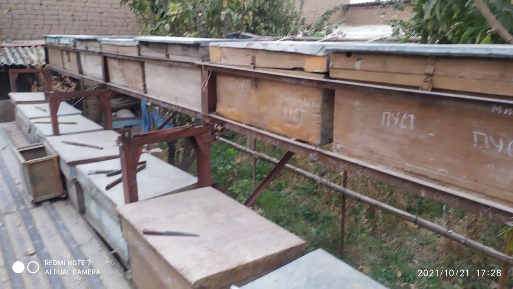 Асалари вагон+асалар ящик+ асалари оиласи