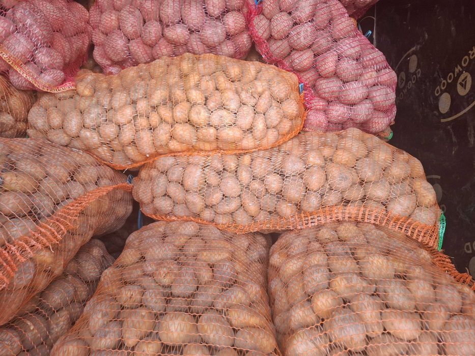 Cartofi sămânță aduce domiciliu clientul județul HD,TM 07#55#23#39#90