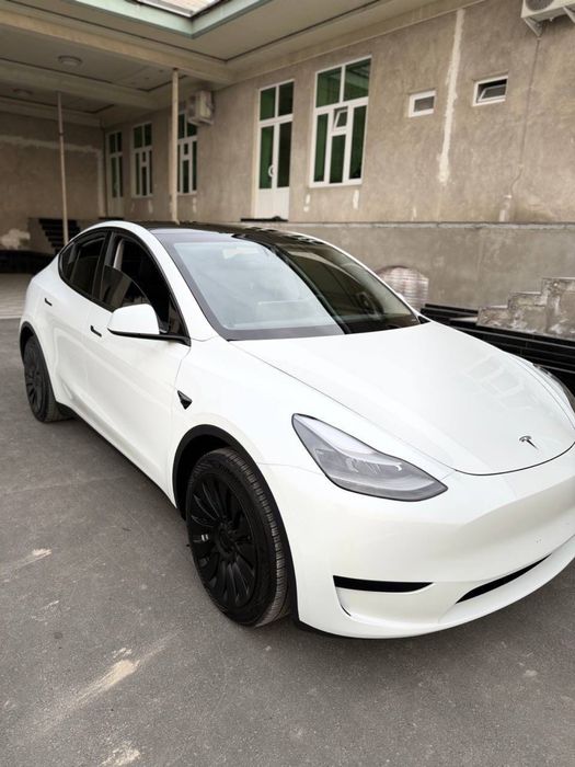 Telsa modul Y standart 400 km yuradi