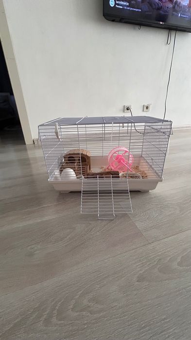 Клетка с хомяком