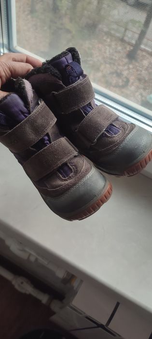 зимние сапоги ecco