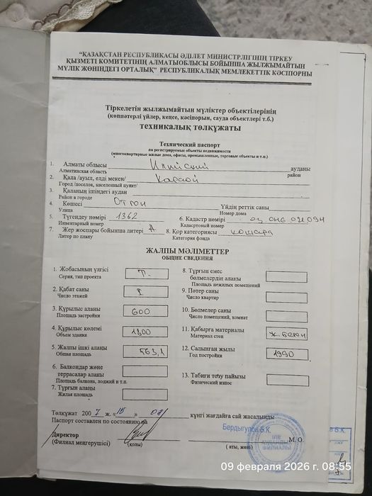 Продам фазенду со скотом