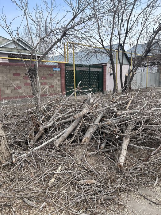 Дрова бесплатно самовывоз