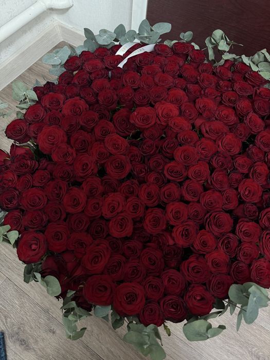 Цветы роза 151 роза