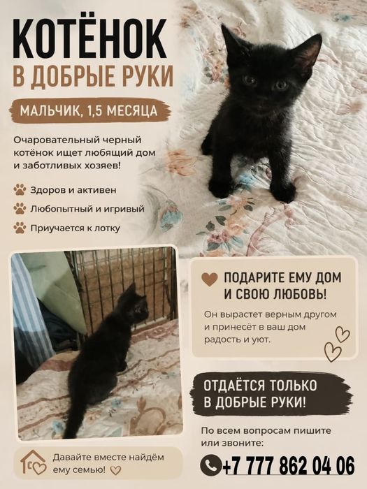 В добрые заботливые руки