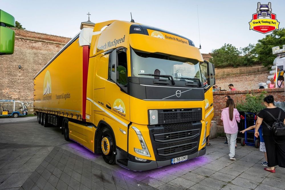 Transport Internaţional & Naţional - Marfă, Autoturisme, Utilaje