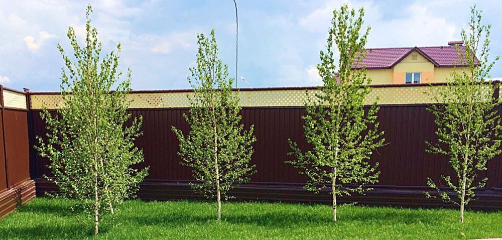 Газон егу жұмыстары Атырау