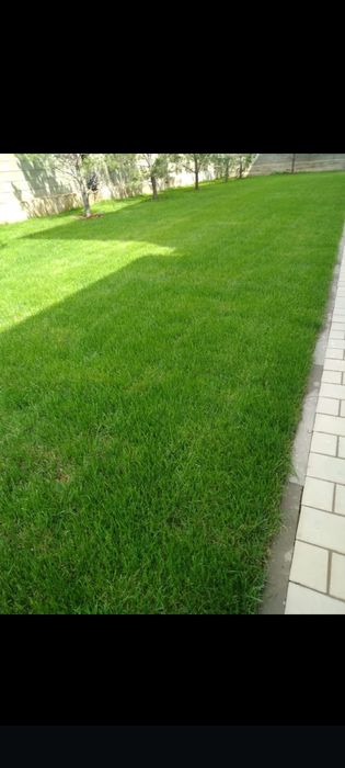 Озеленение. Благоустройство