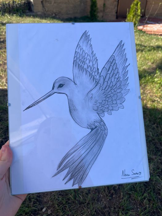Tablou 24x30 cu rama desenat în creion
