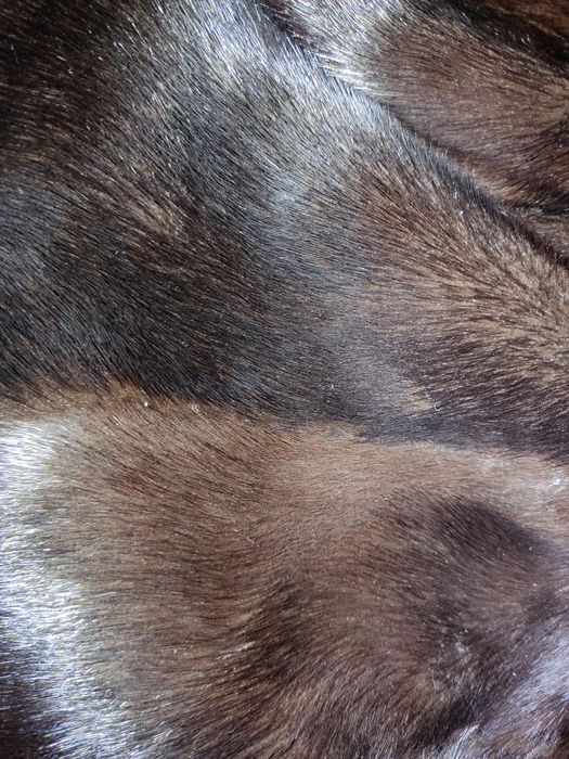 Шуба Норковая!!!