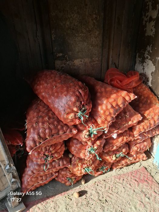 Продам семена или на еду