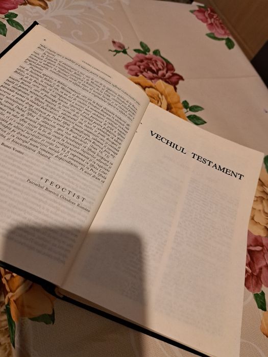 Biblia Vechiul Testament