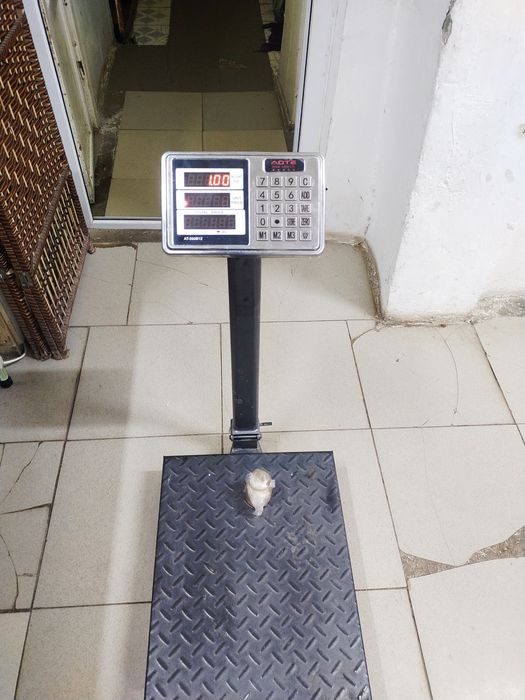 Продается весы АОТЕ электронные