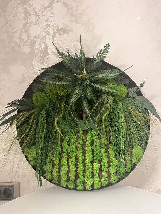 Tablouri cu licheni,muschi si plante stabilizate