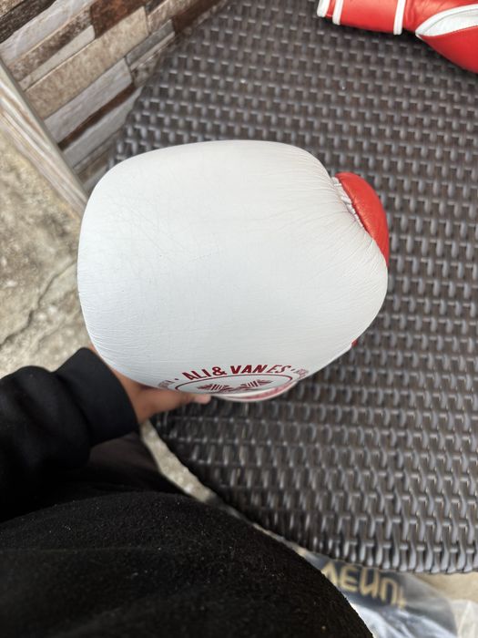 Боксови ракавици ALI&VANES