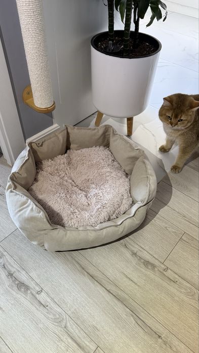 Продам кроватку для кошки