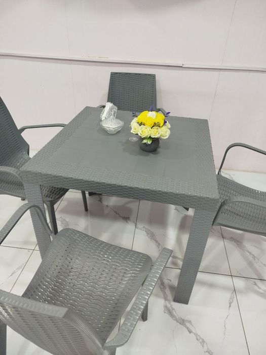 Стол со стульями (пластиковые)
