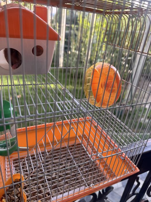 Homyaklar (hamster) lar uchun uy