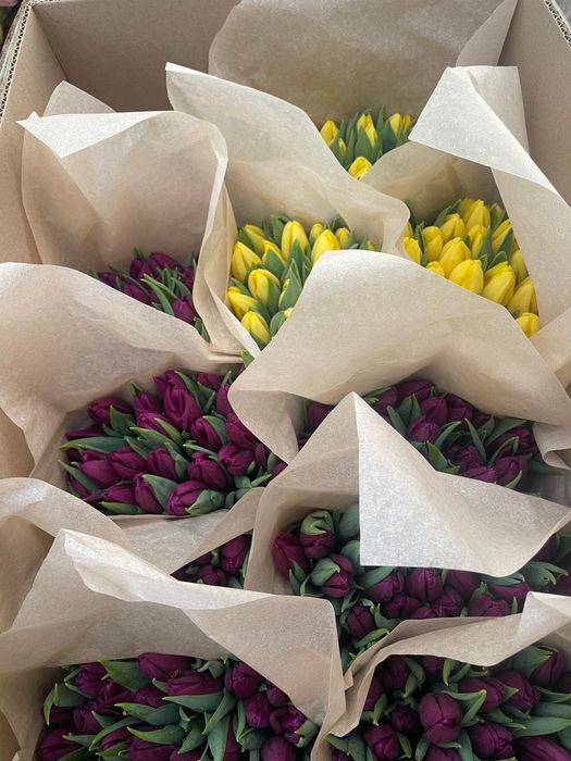 Продажа тюльпана