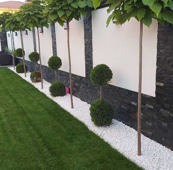 Gazon Rulou Rezistent la Trafic – Aspect Dens și Sănătos