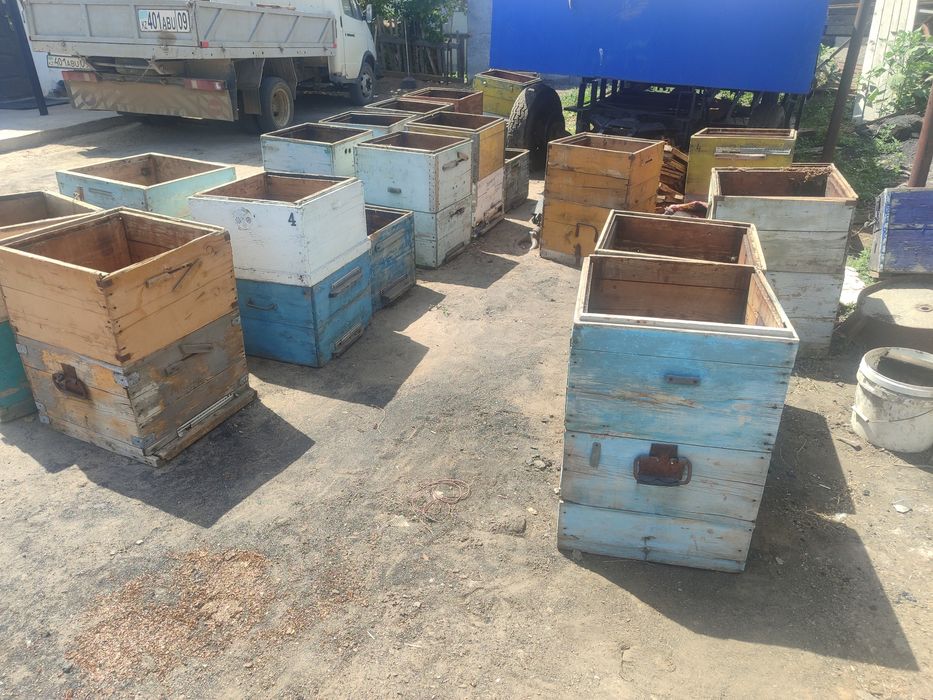 Продам улья, улики , пасика