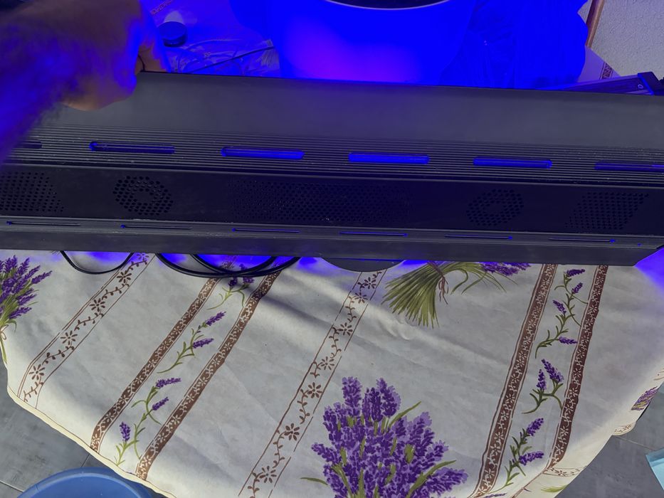 Vand lampa acavriu marin si skimmer