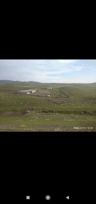 Таер ферма сотилади