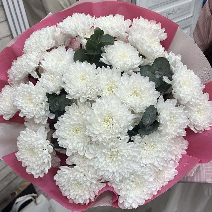 Цветы по низкой цене