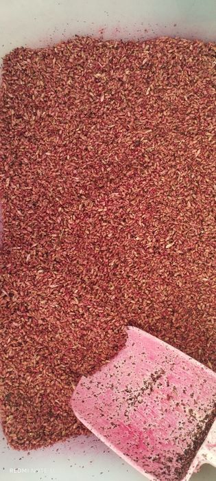 Продам зерно от мышей и крыс