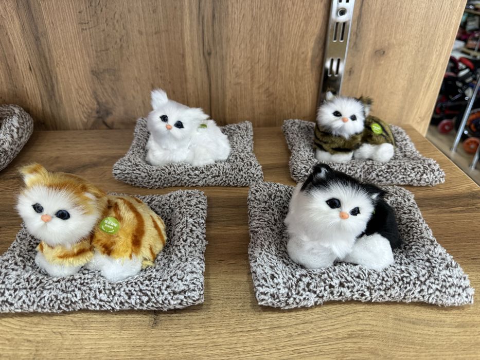 Котики для автомобиля