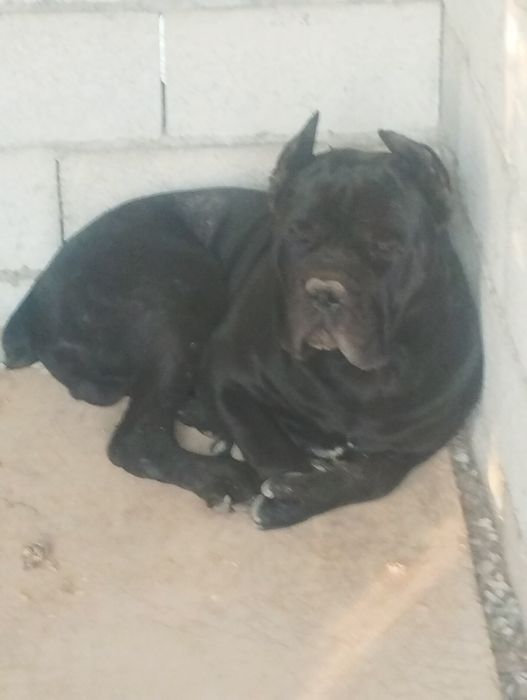 Кабель для вязки