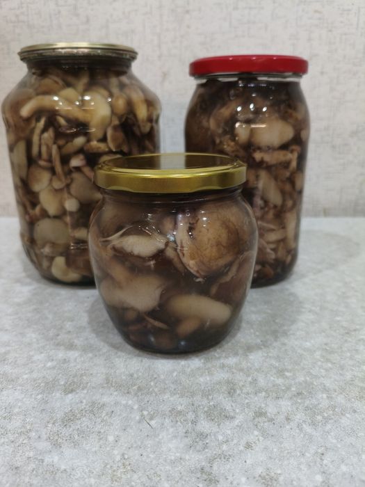 Грибы маслята маринованные