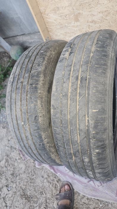 185/65/15 летние