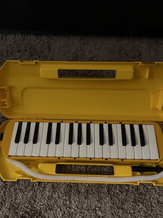 Vand  clapa floasneta (acordeon hohner)