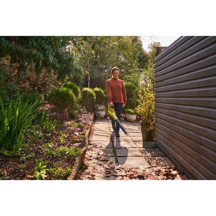 Suflanta de frunze Ryobi