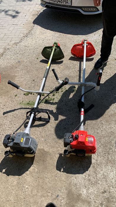 Аренда кенгурув тронбопка