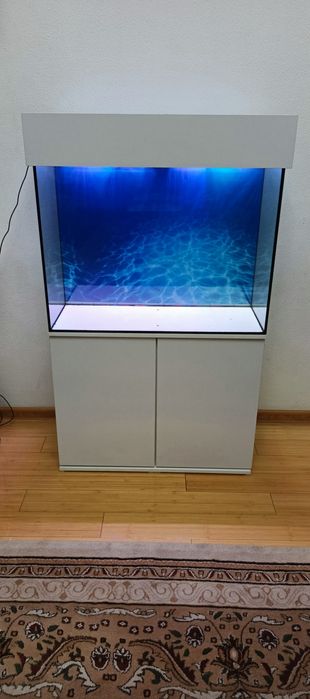 Akvarium 80sm yangi sotiladi