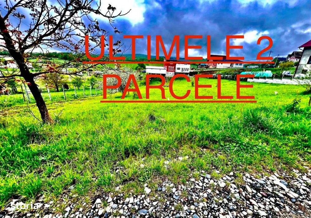 Teren strada Crizantemei zona Tarpiului