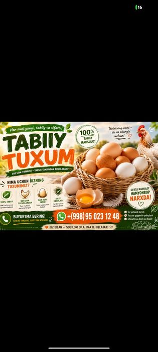 Uy tuxumi sotiladi.