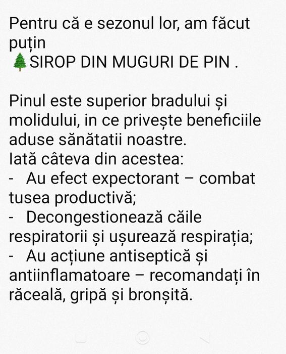Sirop de muguri de pin facut in casa...500ml