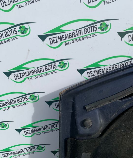 Capota motor Defecte minore Volkswagen VW Bora prima generatie