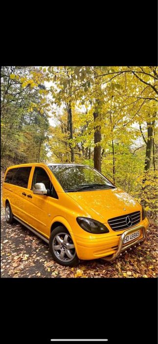 Bullbar si trepte inox vito