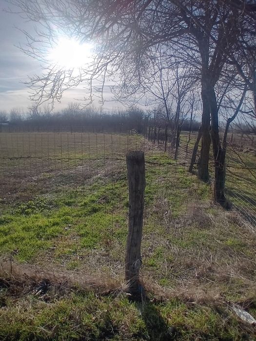 Teren întravilan de vânzare Fundulea judet Călărași