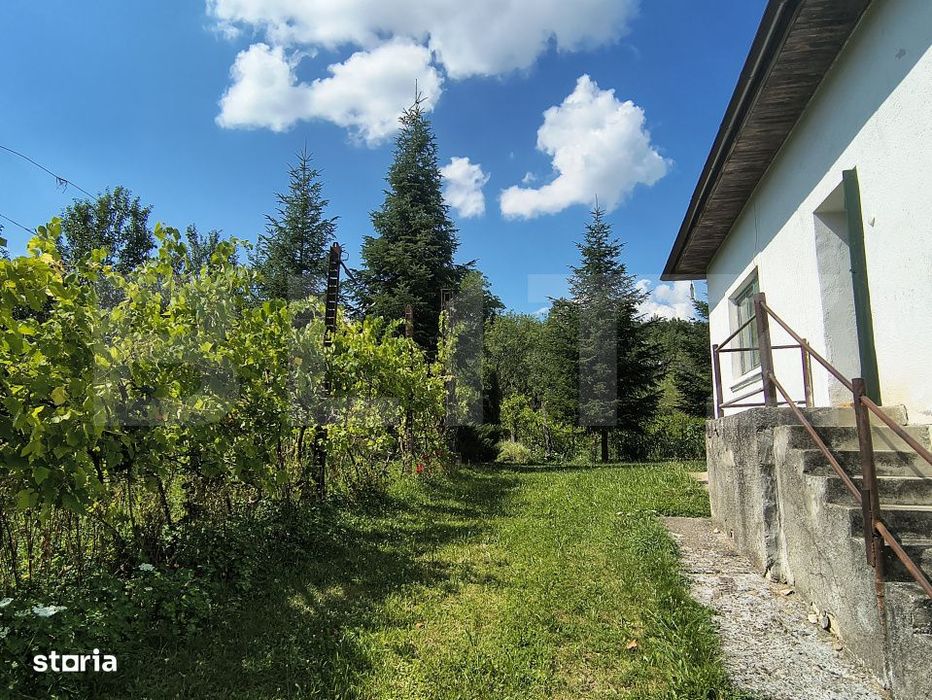 Casa de vanzare, 244 mp, teren 7729 mp, zona Ocna Dejului