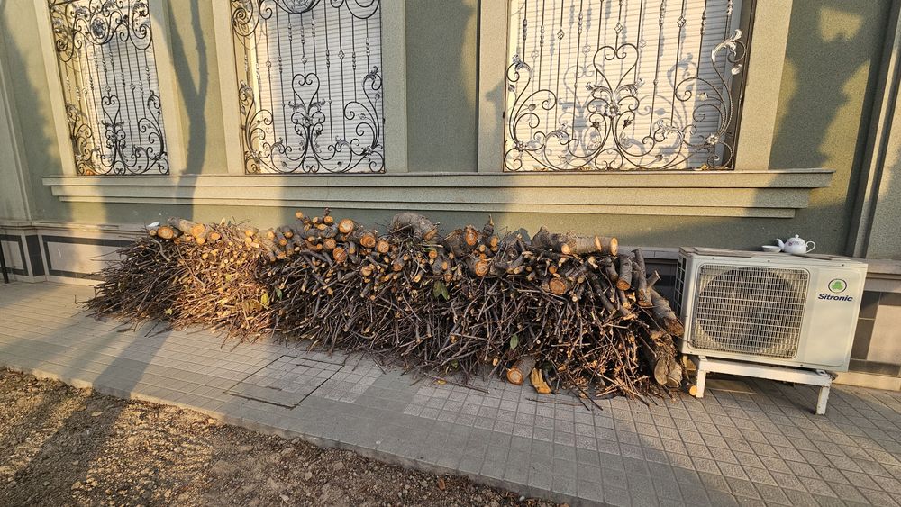 Otinlar qalin va yupqa, 40 sm dan kesilgan tayyor quruq,